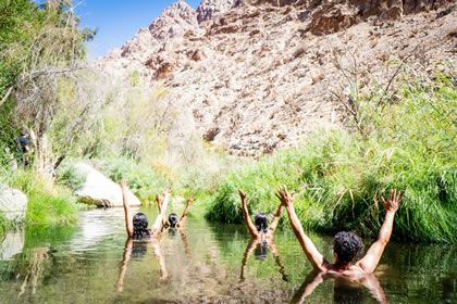 Elqui Experiencia
